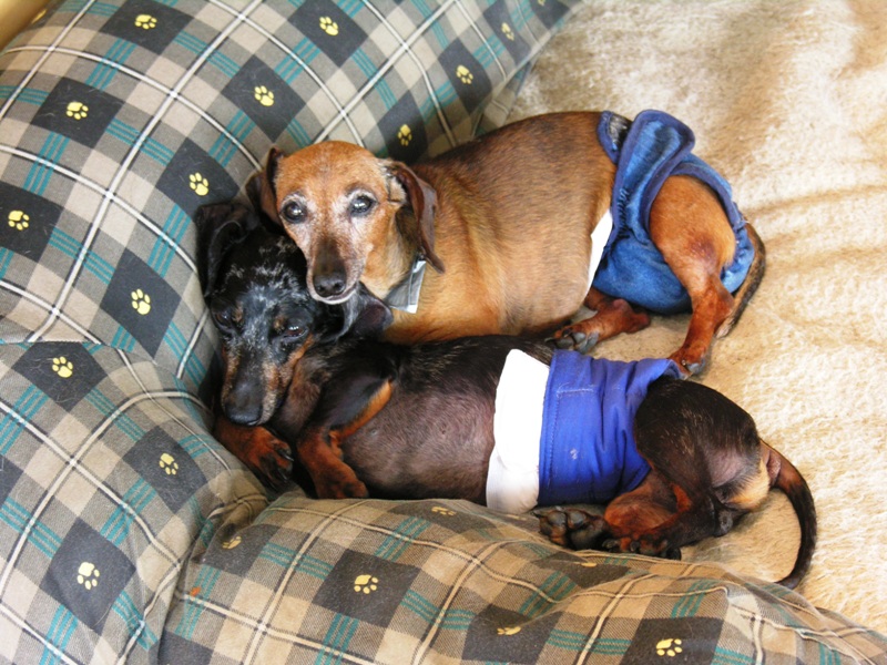 FRANKLIN AND ISABELLE AFTER~ Rest in peace